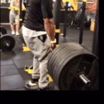 Dimitri Delavegas Instagram - Petite vidéo de mes exos préfère qui mon permis de construire la muraille bro..... @guerrier_d_or @amixfrancenutrition ➖➖➖➖➖➖➖➖➖➖➖ #body #musculation #fitness #mensphysique #back #backworkout #full #guerrierdor #toutestbon