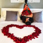 Dimitri Delavegas Instagram - ❤️❤️❤️LOVE❤️❤️❤️ ➖➖➖➖➖➖➖➖➖➖➖➖➖➖➖➖ Une année de plus a tes côtés…. Le temps passe trop vite mais l’amour est toujours le même 🖤 ➖➖➖➖➖➖➖➖➖➖➖ ➖➖➖➖➖ #love #amour #bae #inseparables #together Autour du monde