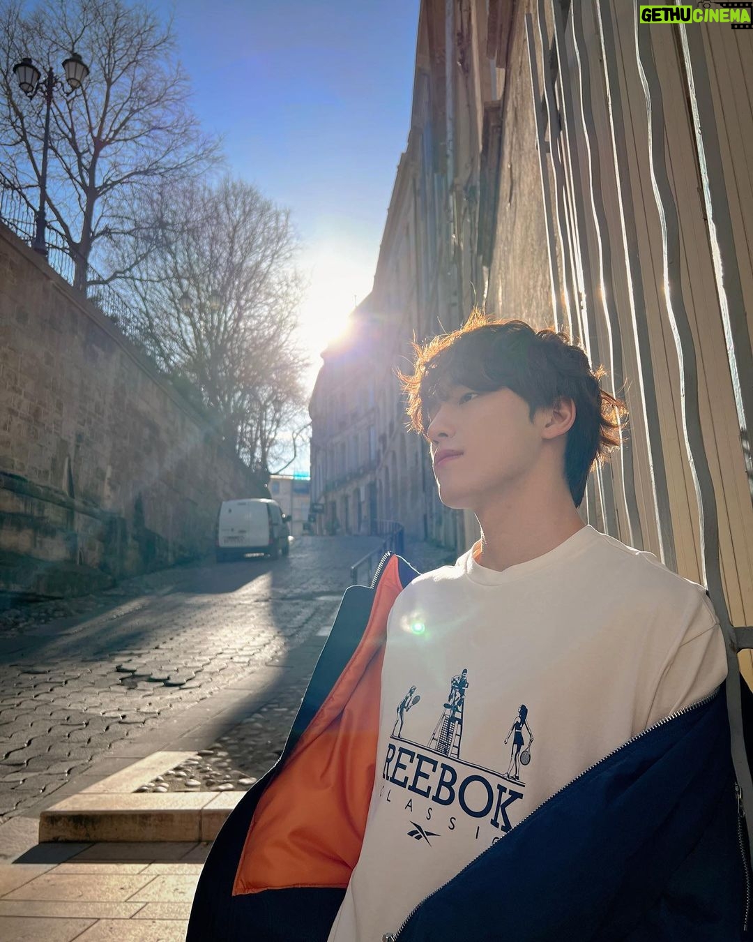 Dino - 1.2 Million Likes - 💙🤍❤️
