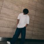 Dino Instagram - 🐞