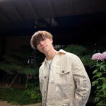 Dino Instagram -