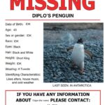 Diplo Instagram - I didn’t want to tell everyone but my PR team said I should address it. I did adopt a penguin while in Antarctica but the ops wouldn’t let me take him through Chilean immigration I did a 90 minute set on a helipad in his honor, pls go watch it and drop a 🐧 below to let him know daddy still cares about him