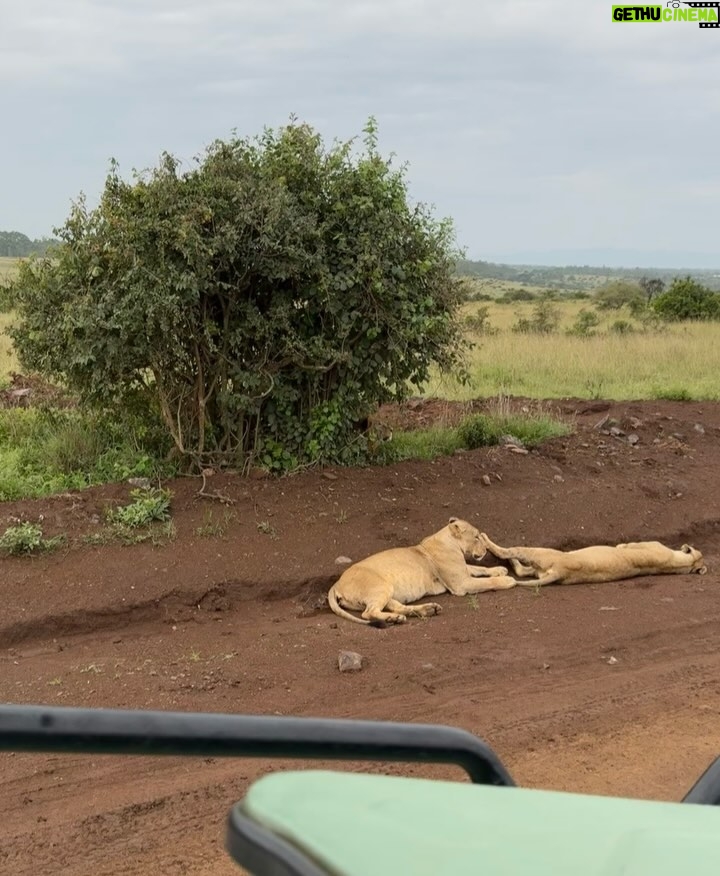 Diplo Instagram - Selfie with lions 🇰🇪 🛖📡🧑🏾🎤 Kenya Railways