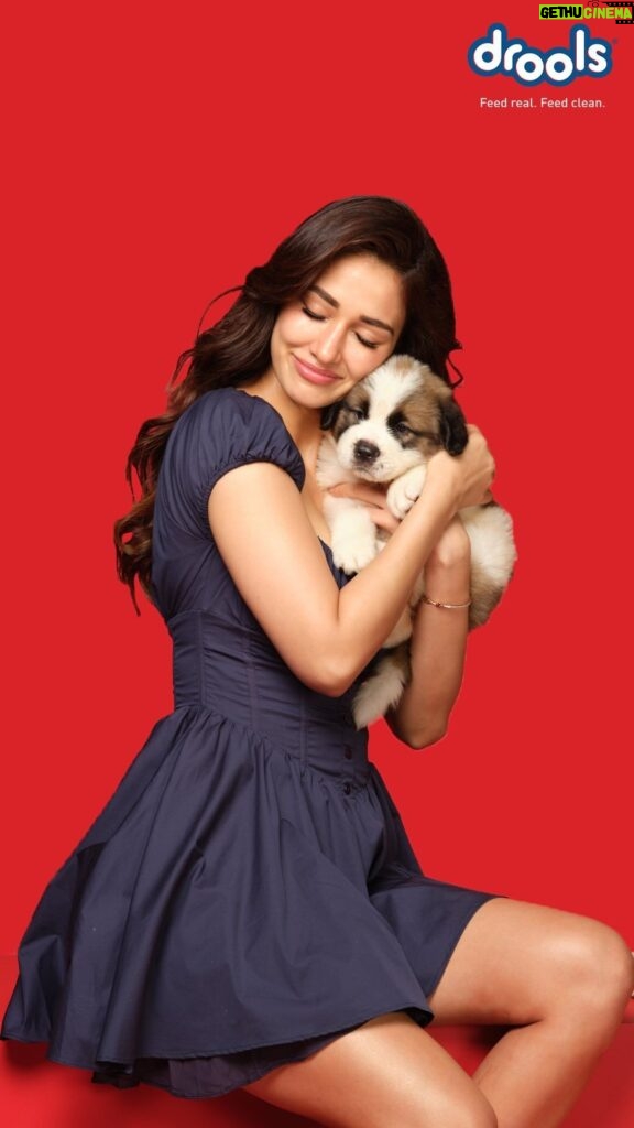 Disha Patani Instagram - Share a heartwarming bond with your pets, fueled by love and nourishing meals @droolsindia ❤️🐾😍 #droolsindia
