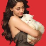 Disha Patani Instagram – Indulge your feline friend in pure delight with Drools Creamy Treats – Purrfection in every creamy bite! 😋🐾

#droolsindia #cats #treats