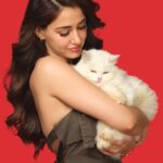 Disha Patani Instagram - Indulge your feline friend in pure delight with Drools Creamy Treats – Purrfection in every creamy bite! 😋🐾 #droolsindia #cats #treats