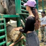 Disha Patani Instagram - Thank you 2023🌸🦋