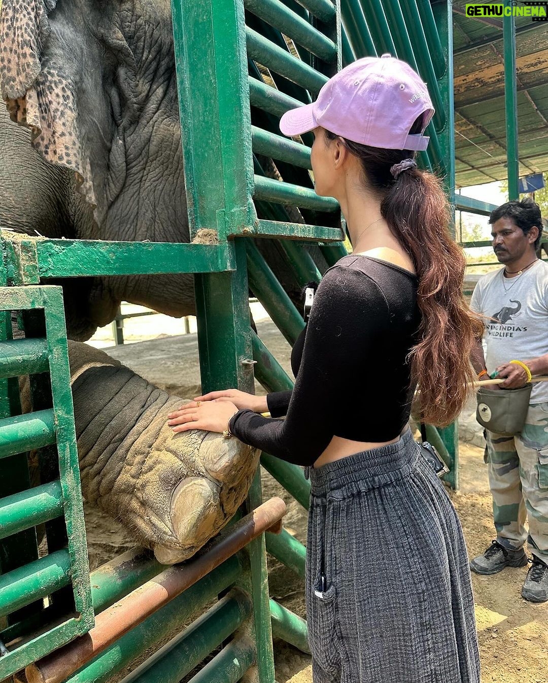 Disha Patani Instagram - Thank you 2023πΈπ¦