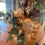 Divyanka Tripathi Instagram – Featuring : Div, Stellenbosch Viniyards & Protea (South African national flower). Stellenbosch, Western Cape