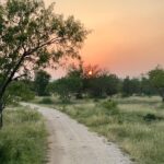 Dixie D’Amelio Instagram – 🤠 Hondo, Texas