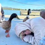 Dixie D'Amelio Instagram - duck duck dixie