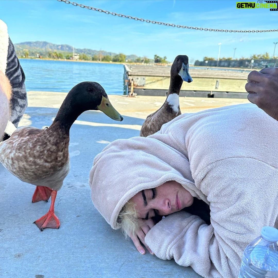 Dixie D'Amelio Instagram - duck duck dixie