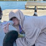 Dixie D'Amelio Instagram - duck duck dixie