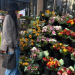 Dixie D'Amelio Instagram - my hair grows fast !! Paris, France