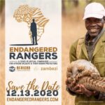 Djimon Hounsou Instagram - Join me on December 13th to help the men and women on the front lines of wildlife conservation. RSVP now through @endangrdrangrs’s website: www.endangeredrangers.com. Hosted by @joshduhamel, tune-in on and donate to help the rangers🙏🏿 #helptherangerssavetheanimals #antipoaching