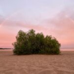 Dmitriy Khrustalev Instagram - #eyeCloudMovie Зависло. Репино Beach