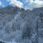 Dmitriy Khrustalev Instagram -
