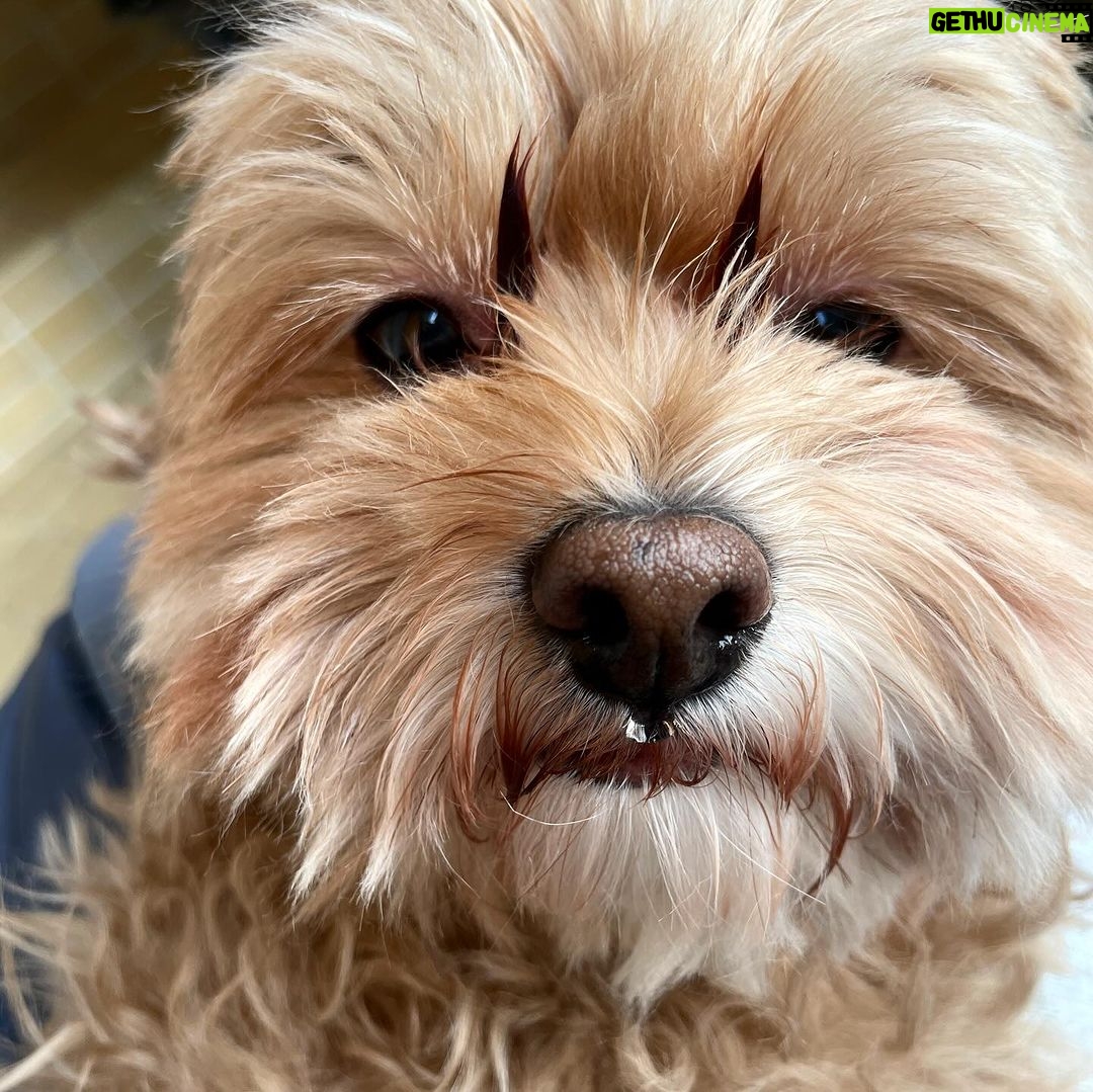 Do Yeon-jin Instagram - 일상은 아주 자연스럽게 그게 zoa
