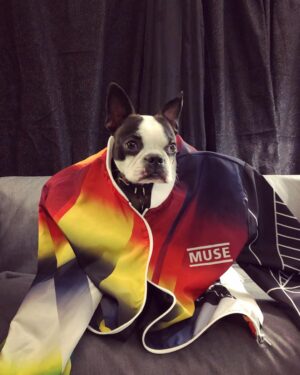 Dominic Howard Instagram - New @muse jackets out now ⚡️