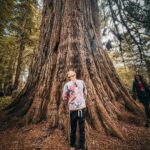 Dominic Howard Instagram – Rock and roll 🐿️ Prairie Creek Redwoods State Park