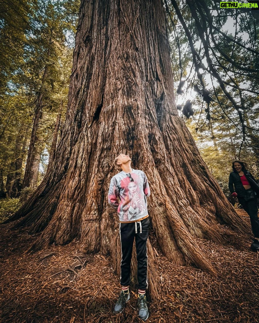 Dominic Howard Instagram - Rock and roll 🐿️ Prairie Creek Redwoods State Park
