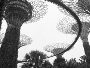 Dominic Howard Instagram - Pandora 🇸🇬