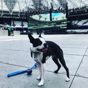 Dominic Howard Instagram - This is going to be good ⚡️ Floyd agrees 🤘🏼