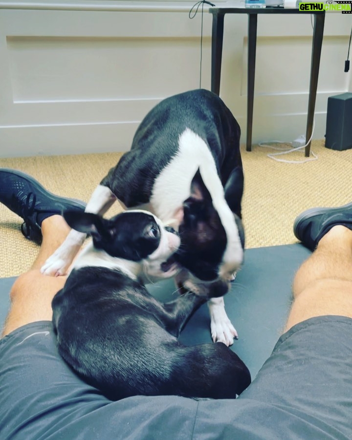 Dominic Howard Instagram - Impossible to work out 🦩