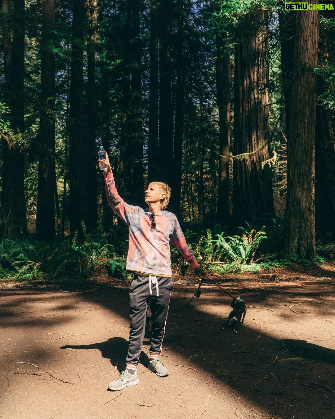 Dominic Howard Instagram - Rock and roll 🐿️ Prairie Creek Redwoods State Park