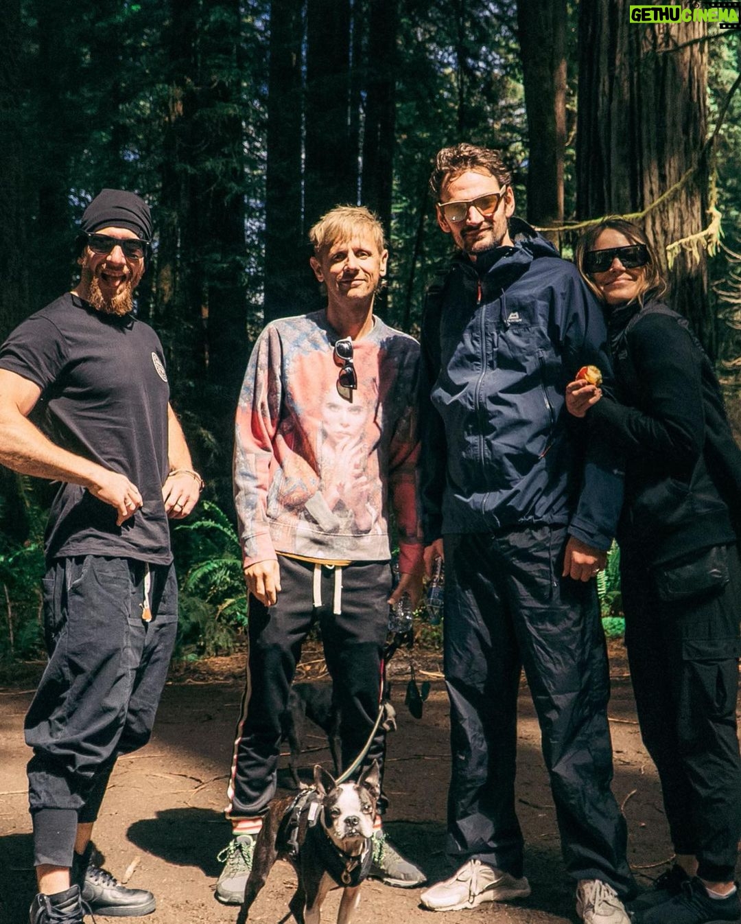 Dominic Howard Instagram - Rock and roll 🐿️ Prairie Creek Redwoods State Park