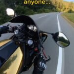 Dominick Reyes Instagram - Couldn’t have said it better myself! 🤣 Repost: @kanadiantrashpanda #motorcycle #visor #bugs #ktm #bugkiller #ride