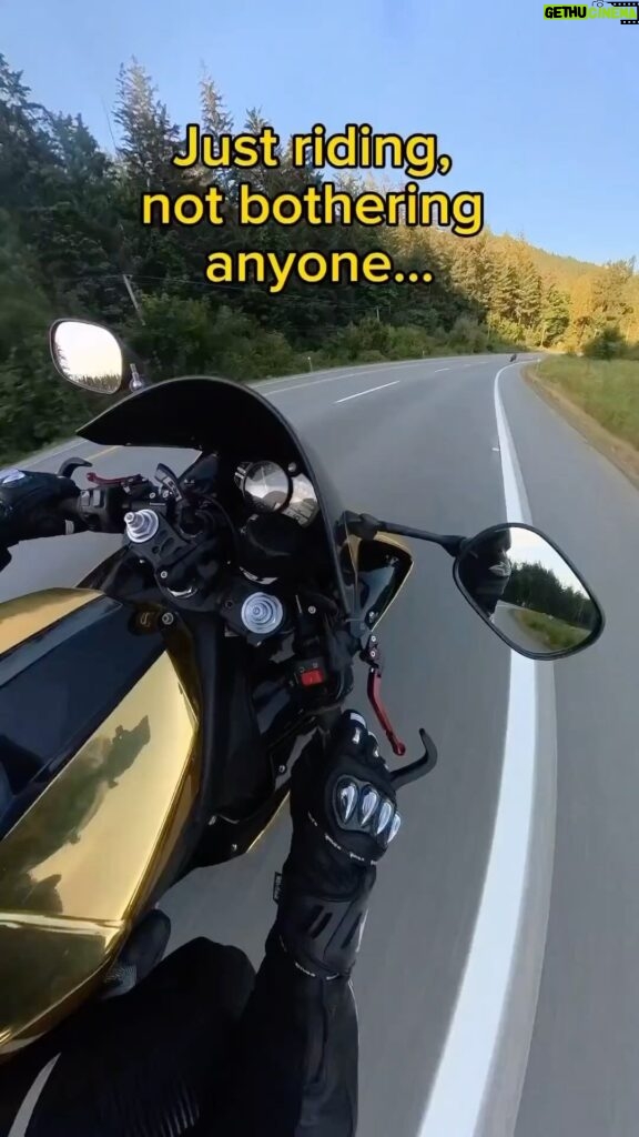 Dominick Reyes Instagram - Couldn’t have said it better myself! 🤣 Repost: @kanadiantrashpanda #motorcycle #visor #bugs #ktm #bugkiller #ride