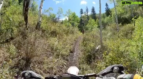 Dominick Reyes Instagram - Some action and shots and video from the @speedandsportadventures ride. This terrain was def not easy but it was a blast!