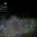 Dominick Reyes Instagram - Big Bear, Night ride, could be the best time ever…or the worst time ever. Met some badass dudes! New terrain unlocked. Complete video will upload to YouTube soon link in bio. #ktm500 #bigbear #adventure #adrenaline #dualsport #crazyshit #idkwhyitsslomo!