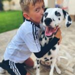 Dominika Mirgová Instagram - Neverím, že sú to už 3 roky 🥹 Happy bday Milly 🥳🤍🐶