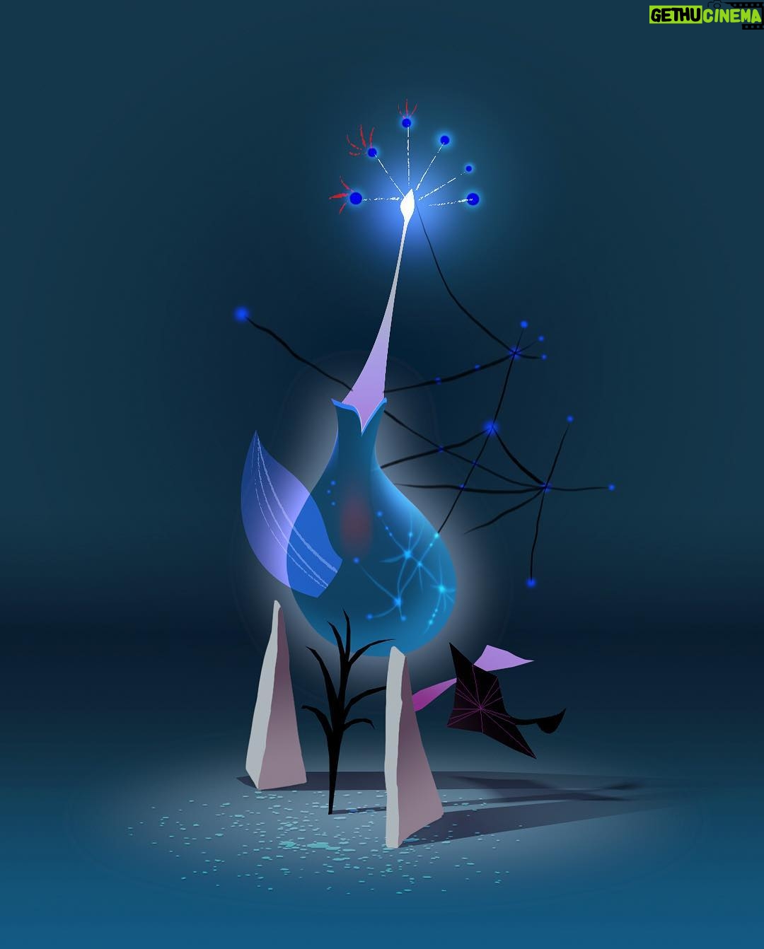 Don Shank - 418 Likes -