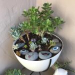 Don Shank Instagram - I just find this stuff around my house.