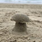 Don Shank Instagram - Ugh, mushrooms? This beach is gross.