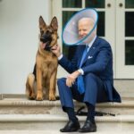 Donald Trump Instagram -