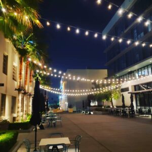 Donavon Warren Instagram - I get in the office every morning before 5am and work well into the night. Everyone asks how I have so much discipline? 

The truth is I love what I do. I am like that kid that never wants to leave the playground. For me, this is playing, and I love every second of it.

There is so much history here at The Lot Studios. It was started by Charlie Chaplin as United Artists,  Howard Hughs had production offices here, then it was MGM, then Warner Bros and now it's The Lot Studios.

They filmed so many of my favorite movies here it's crazy.  There is a real sense of history. It is a blessing to be in early and play on this playground all day @loadeddicefilms

#blessed #thelotstudios #moviemaking #charliechaplin #warrnerhollywood #thelot #filmmaking #basicinstinct #rocky #seven #socialnetwork #davidfincher #movies #dreamscometrue #livingthedream #showtime #ownnetwork