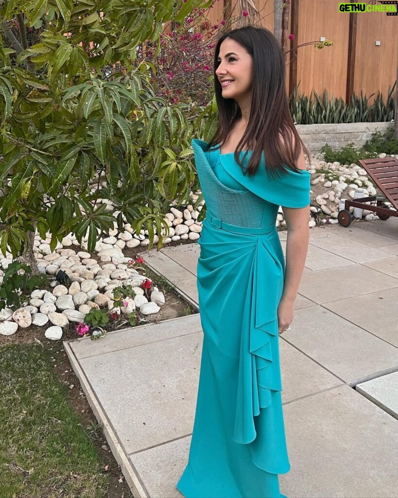 Donia Samir Ghanem Instagram - Mix of pics 😁 Dress @nourfathallah Jewelry @glamour.jewellery Make up @fatmabahgat Hair @haithamdahab00 Styled by @mayajules