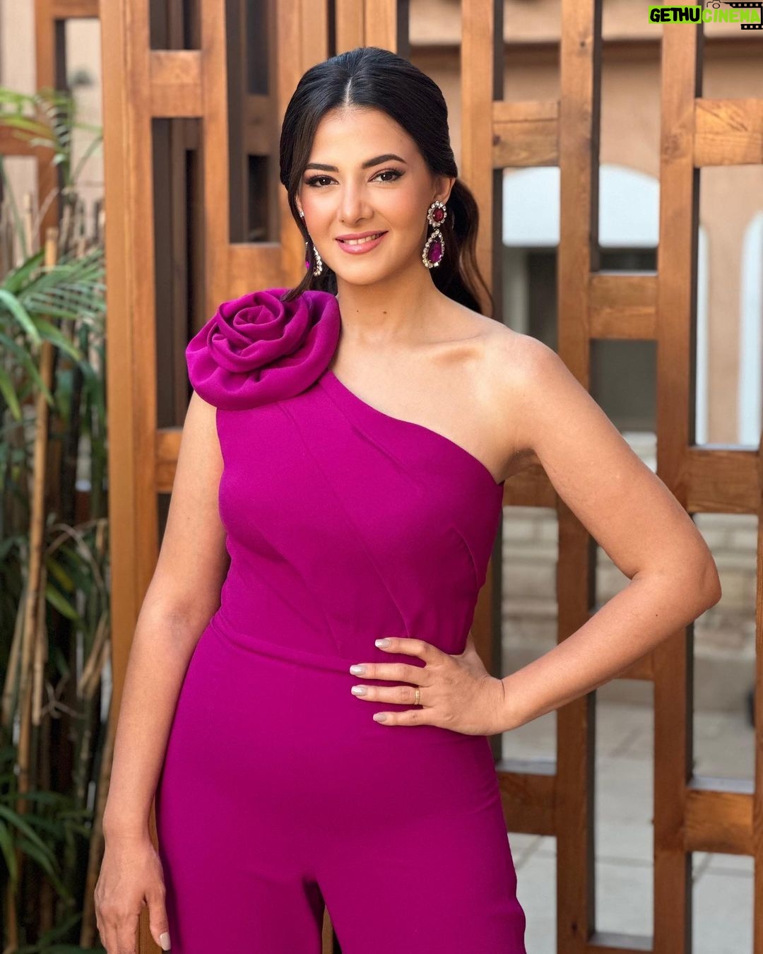 Donia Samir Ghanem Wiki Biography Age Photos Spouse And More