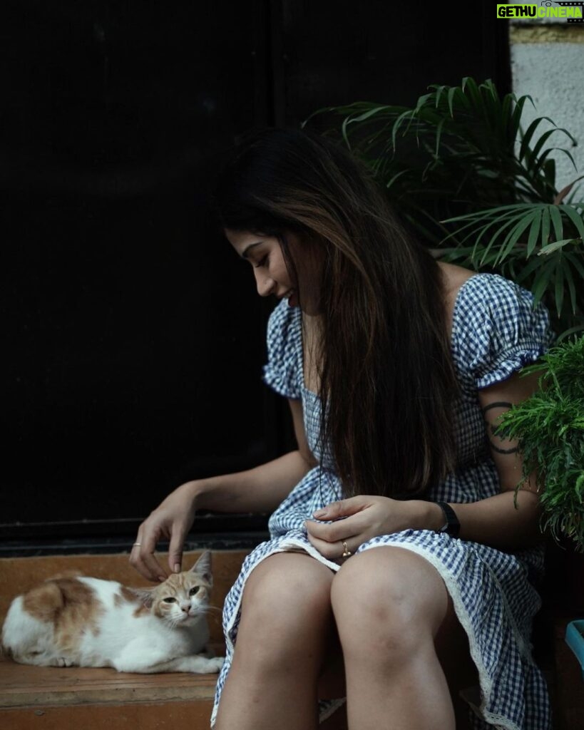 Donna Munshi Instagram - Met a stranger…..fell in love…. 📸: @lensationnnnn वांद्रे , मुंबई