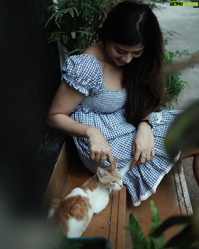 Donna Munshi Instagram - Met a stranger…..fell in love…. 📸: @lensationnnnn वांद्रे , मुंबई