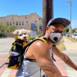 Dorian Missick Instagram - Morning bike ride with the family. 📸: @simonemissick #dogsofinsta #FreshAirAintSoFreshAnymore West Adams