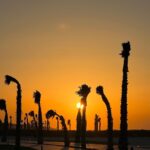 Dorra Instagram - 𝔹𝕒𝕔𝕜 𝕥𝕠 𝕥𝕙𝕚𝕤 ☀️🌊🌴🕶️🐚🪸 North Coast, Egypt
