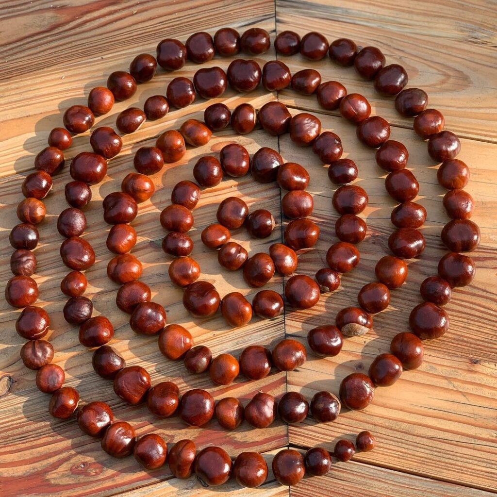 Doutzen Kroes Instagram - Yesterday Myllena and I went for a chestnut hunt and we created this spiral. Today I looked online for a spiritual meaning of the spiral and found this quote: ‘The spiral can represent evolution and surrender. It can symbolize the way that stars and planets, and time revolve. It will represent being aware of a piece being part of a whole. The spiral will symbolize connection to God and the energy of the cosmos. Spirals can represent harmony, beginning, concentration, and focus. They can be used to expand, connect, and develop the mind. Spirals represent journey, direction, and progress.’ -Leah Dimurio- Since I have been taking time for myself going inwards and feeling a deep connection to everything that is, life has been magical! Like creating this spiral with my daughter and reading this quote! Magic and synchronicity is everywhere if you find out how to look 💫