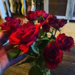 Dregen Instagram - Fick blomster av min kärlek. Kärlek är fan orubbat den hösta ligan. Bästa låten. Fetaste bandet. Största känslan. Och godaste maten. Tack @majsanlindberg ✖️♥️🌹