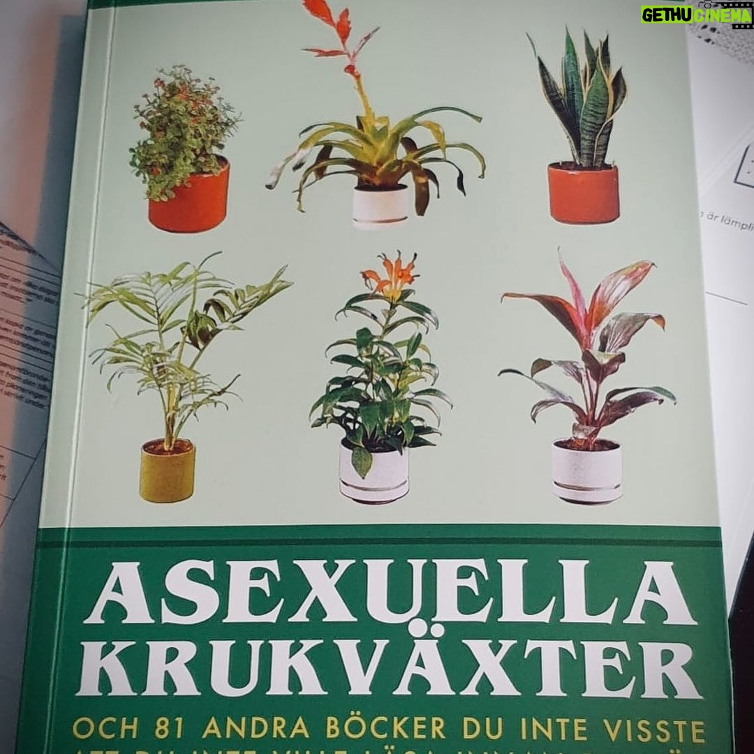 Dregen Instagram - Throwback Thursday to Xmas 2023. Thank you so much for these presents! Alot of handcrafted stuff, which rules. ✖️♥️ Top Seven (in no particular order) 1: Custom made washing machine shelf, made by Hugo Ronneland. Top wood work. 🪵🔨 2: Knitted winter Ninja mask in alpaca yarn, made by Elin Bolaget. 🥷🧵 3: Home made ”Knäck” candy from my son Sixten. 🍬❤️ 4: Swedish Fish candy necklace in silver from my love and future wife Majsan. 📿❤️ 5: ”None More Black” knitted Swedish “Lovikavantar” by Eva Pixx. Sjukt true! 🤘🏽⚫️ 6: The book “Asexuella Krukväxter” by Pony Hans. (and 81 other books you didn’t know you didn’t want to read before you’re dead) Tack Emma & Jesper. 🪴📗 7: Bob Hund’s autobiography “Nybörjartur Livet Ut”. Tack som fan Conny! 🐩📘