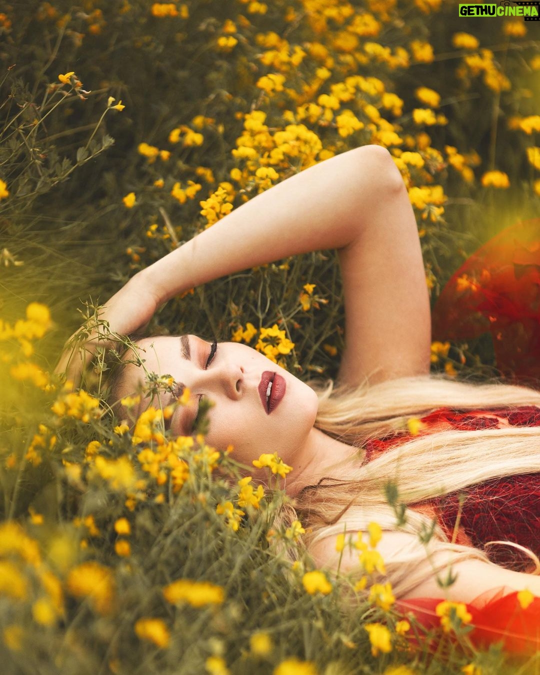 Drew Catherine Instagram - Don’t save her, she don’t wanna be saved. 🌹 @amandadiazphotography